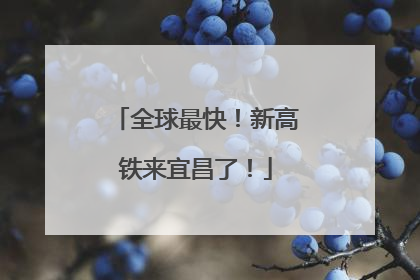 全球最快！新高铁来宜昌了！