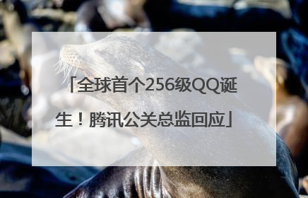 全球首个256级QQ诞生！腾讯公关总监回应