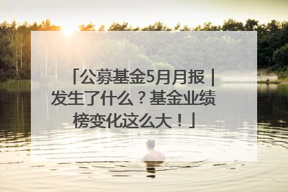 公募基金5月月报｜发生了什么？基金业绩榜变化这么大！