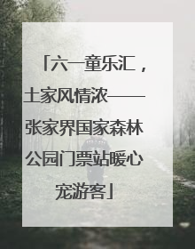六一童乐汇，土家风情浓——张家界国家森林公园门票站暖心宠游客