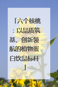六个核桃：以品质筑基、创新领航的植物蛋白饮品标杆