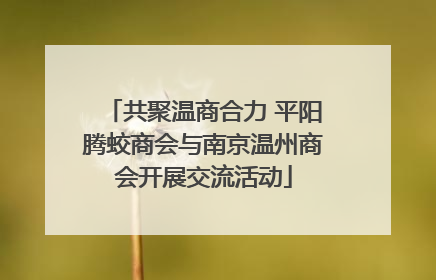 共聚温商合力 平阳腾蛟商会与南京温州商会开展交流活动