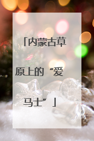 内蒙古草原上的“爱马士”