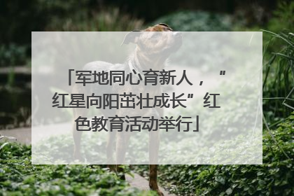 军地同心育新人，“红星向阳茁壮成长”红色教育活动举行