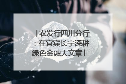 农发行四川分行：在宜宾长宁深耕绿色金融大文章