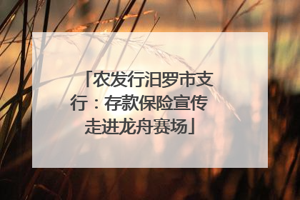 农发行汨罗市支行：存款保险宣传走进龙舟赛场