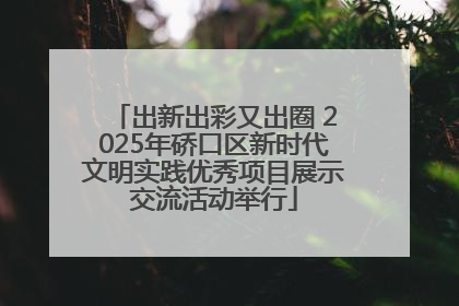 出新出彩又出圈 2025年硚口区新时代文明实践优秀项目展示交流活动举行
