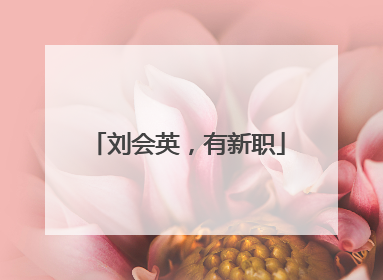 刘会英，有新职
