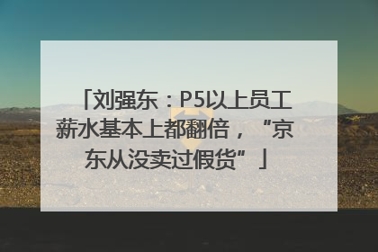 刘强东：P5以上员工薪水基本上都翻倍，“京东从没卖过假货”
