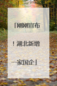 刚刚宣布！湖北新增一家国企