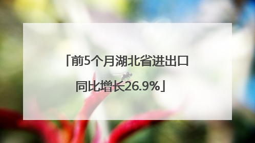 前5个月湖北省进出口同比增长26.9%