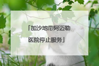 加沙地带阿迈勒医院停止服务