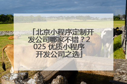 北京小程序定制开发公司哪家不错？2025 优质小程序开发公司之选