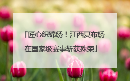 匠心织锦绣！江西夏布绣在国家级赛事斩获殊荣