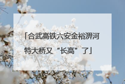合武高铁六安金裕淠河特大桥又“长高”了