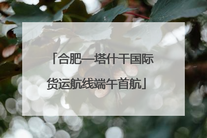 合肥—塔什干国际货运航线端午首航
