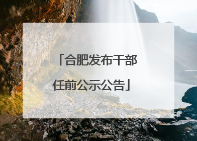 合肥发布干部任前公示公告