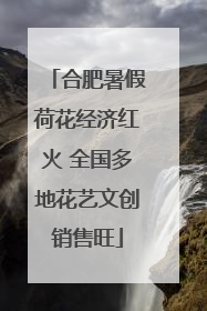 合肥暑假荷花经济红火 全国多地花艺文创销售旺