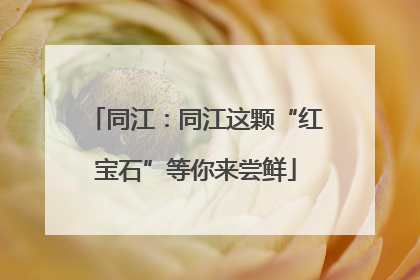 同江：同江这颗“红宝石”等你来尝鲜