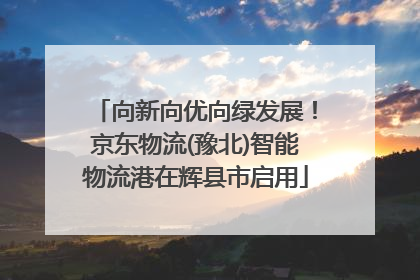 向新向优向绿发展！京东物流(豫北)智能物流港在辉县市启用