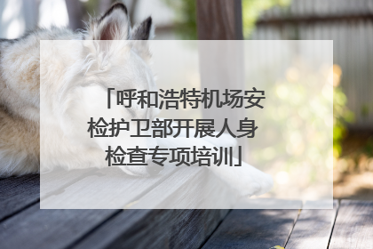 呼和浩特机场安检护卫部开展人身检查专项培训