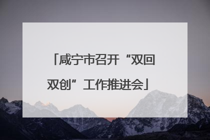 咸宁市召开“双回双创”工作推进会