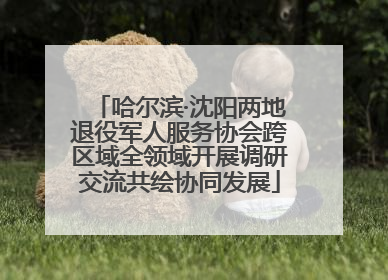 哈尔滨·沈阳两地退役军人服务协会跨区域全领域开展调研交流共绘协同发展