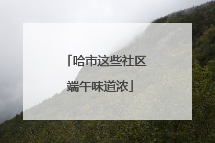 哈市这些社区端午味道浓