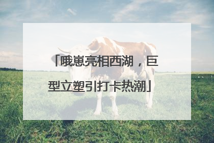 哦崽亮相西湖，巨型立塑引打卡热潮