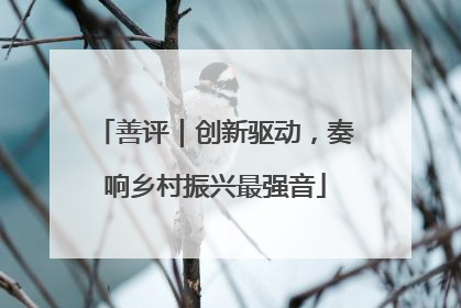 善评｜创新驱动，奏响乡村振兴最强音