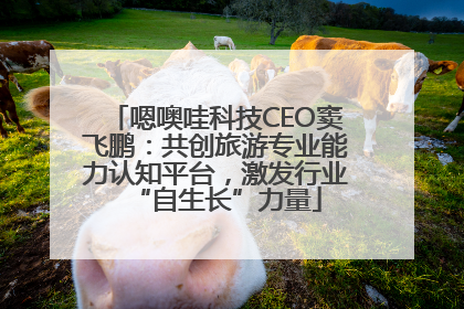 嗯噢哇科技CEO窦飞鹏：共创旅游专业能力认知平台，激发行业“自生长”力量