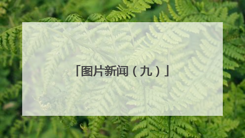 图片新闻（九）