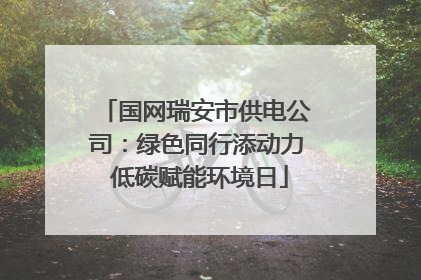 国网瑞安市供电公司：绿色同行添动力 低碳赋能环境日