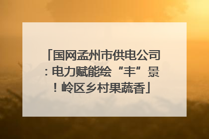 国网孟州市供电公司：电力赋能绘“丰”景！岭区乡村果蔬香