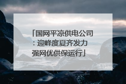 国网平凉供电公司：迎峰度夏齐发力 强网优供保运行