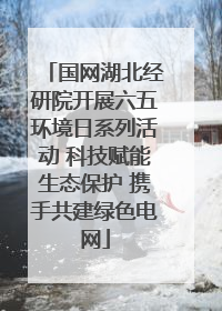 国网湖北经研院开展六五环境日系列活动 科技赋能生态保护 携手共建绿色电网