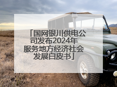 国网银川供电公司发布2024年服务地方经济社会发展白皮书