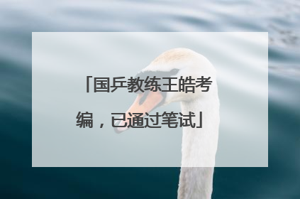 国乒教练王皓考编，已通过笔试