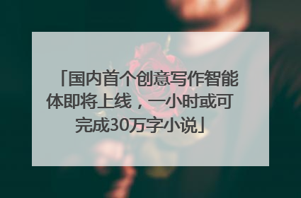 国内首个创意写作智能体即将上线，一小时或可完成30万字小说