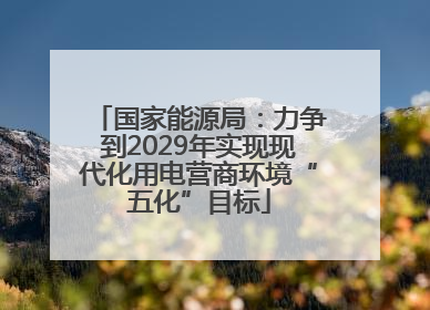 国家能源局：力争到2029年实现现代化用电营商环境“五化”目标