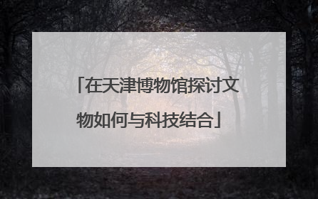 在天津博物馆探讨文物如何与科技结合