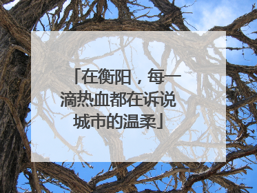在衡阳，每一滴热血都在诉说城市的温柔