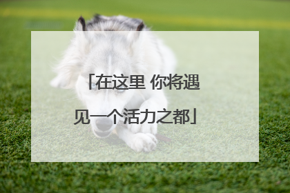 在这里 你将遇见一个活力之都