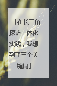 在长三角探访一体化实践，我想到了三个关键词