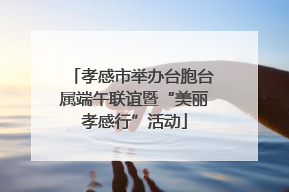 孝感市举办台胞台属端午联谊暨“美丽孝感行”活动