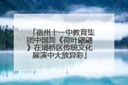 宿州十一中教育集团中国舞《荷叶翩翩》在埇桥区传统文化展演中大放异彩