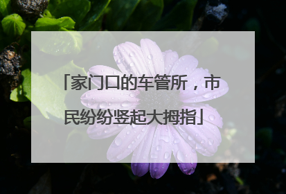 家门口的车管所，市民纷纷竖起大拇指