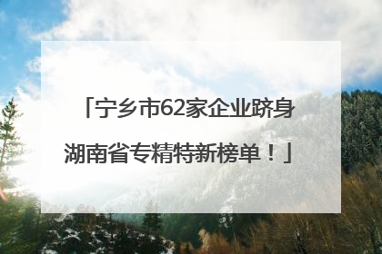 宁乡市62家企业跻身湖南省专精特新榜单！
