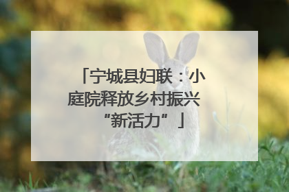 宁城县妇联：小庭院释放乡村振兴“新活力”