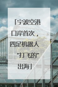宁波空港口岸首次，四足机器人“打飞的”出海